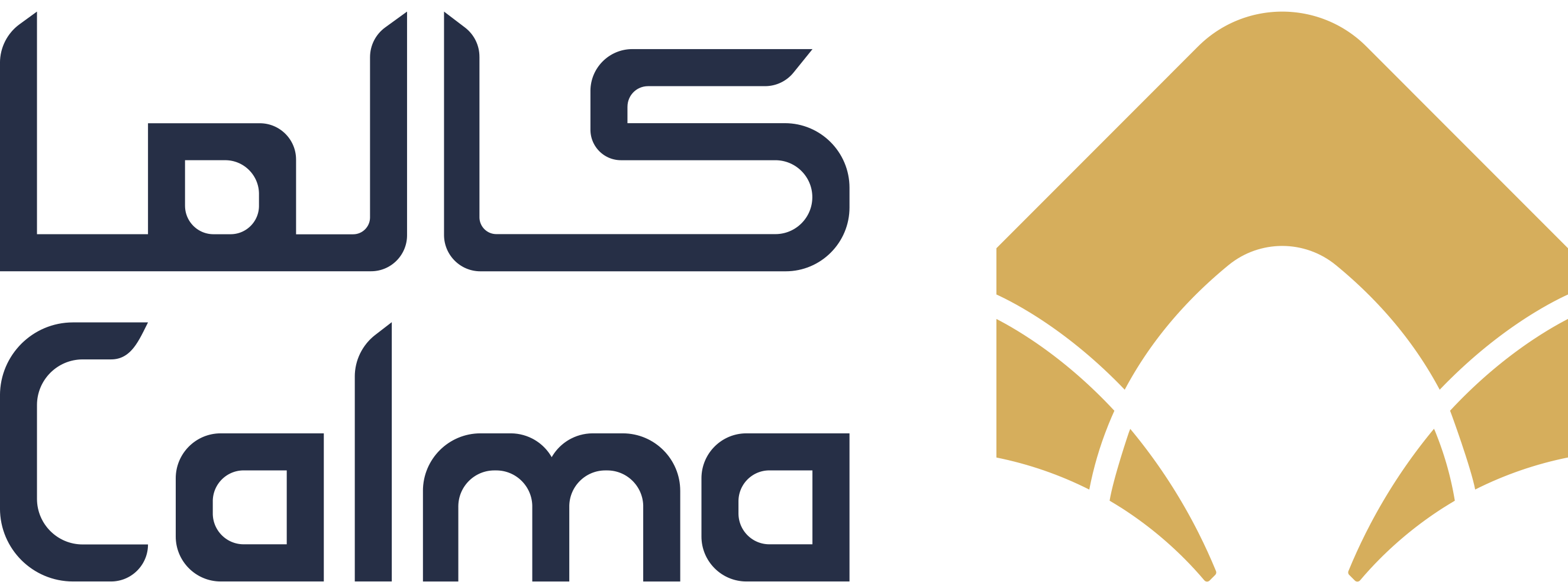developer
